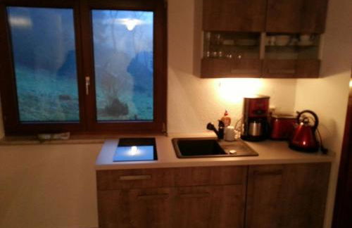 Ferienhaus Moosbachtal Thüringer Wald bei Oberhof - Foto 8