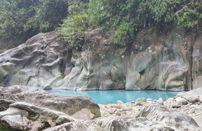 Selvática del Toro - Foto 36