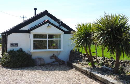 Bryn Môr - Photo 32