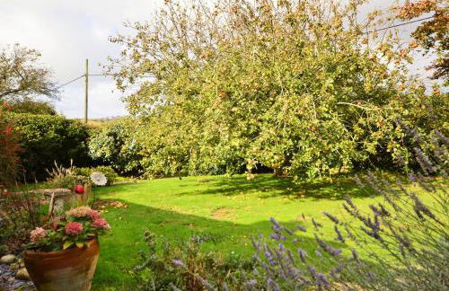 Whitestones - Photo 8