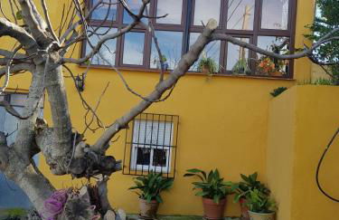 Cortijo de la Cruz - Foto 33