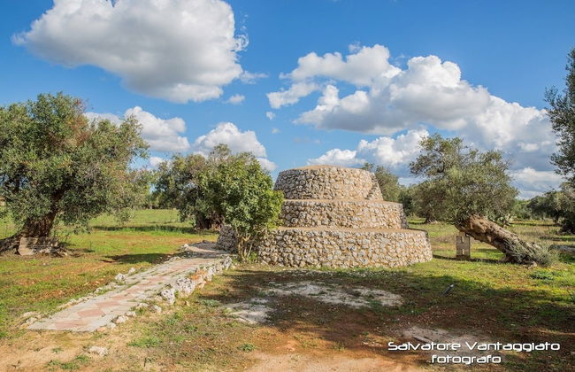 Azienda Agricola Spirdo - Foto 56