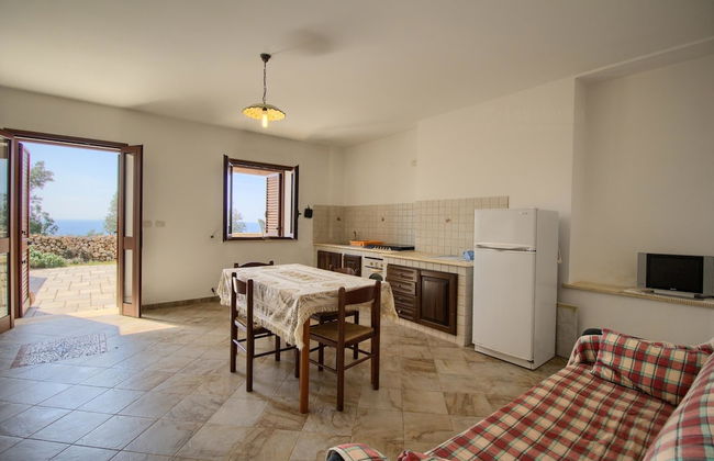 Salvia Lovely Seaview - Foto 5