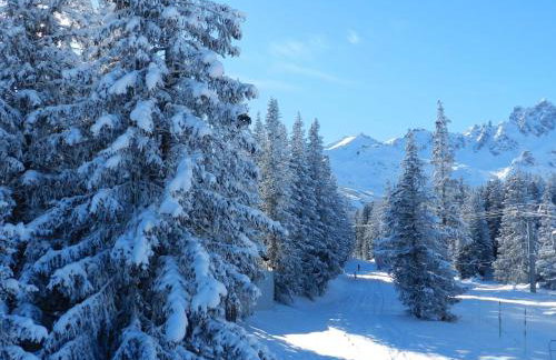 Appartement rénové 42m² - 4 pers - Courchevel 1550, Sud, skis aux pieds, proche centre, parking inclus - FR-1-631-121 - Foto 10
