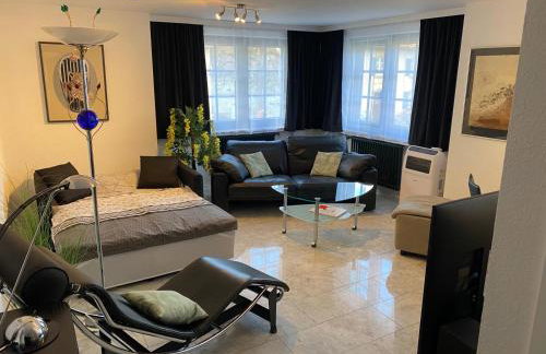 Excl Ferienwohnung im Dreiländereck D-F-CH mit beheiztem kl Pool zum Schwimmen und Massieren - Foto 21