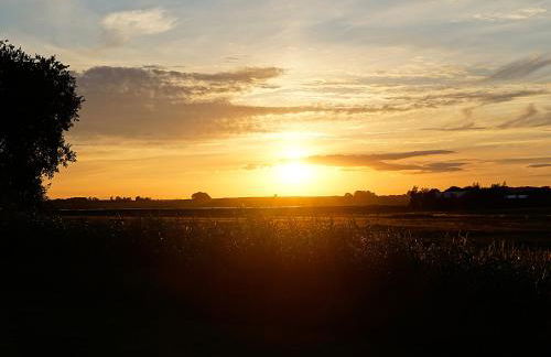Ferienhaus Gut Glück - Foto 29