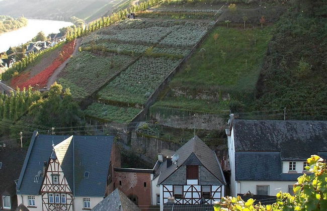 Das Marienkaeferhaus - Photo 34