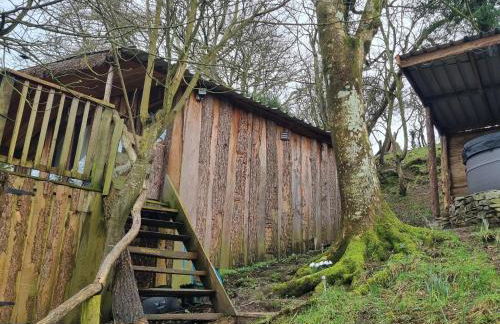 Tree House - Photo 3