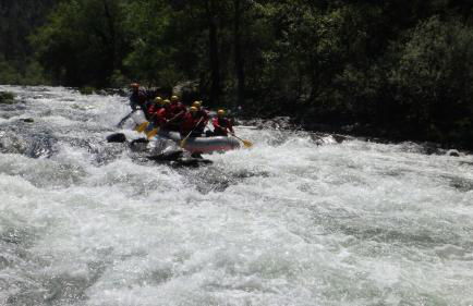 Casa do Tanque T2 - Foto 25