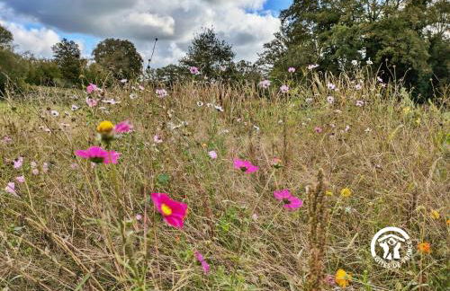 La Lande du Pont - Photo 47