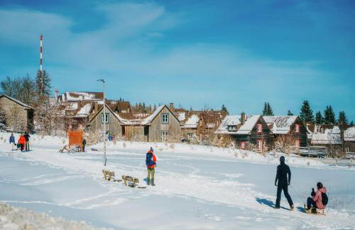 Holiday Homes in Torfhaus Harzresort, Torfhaus - Foto 148