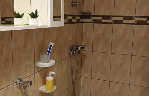 Apartmani Green Oasis - Foto 4