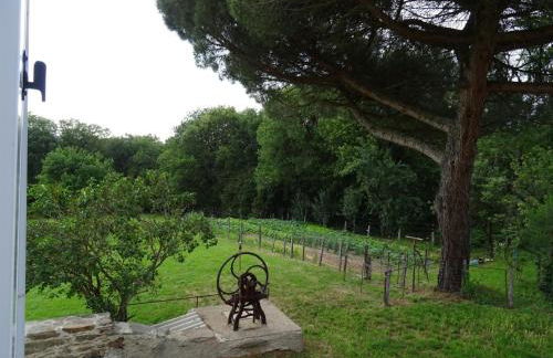 Les hirondelles de montsec - Foto 22