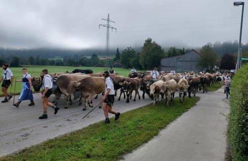 Fewo Wertachliebe - Photo 23