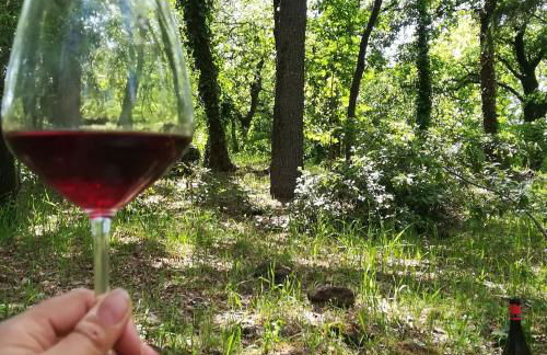 Poggio Roseto - Foto 28