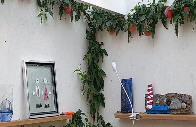 "Hartvig" - 800m from the sea - Foto 8