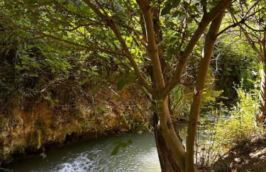 Casa Rural en Valera La Egipcia - Foto 36