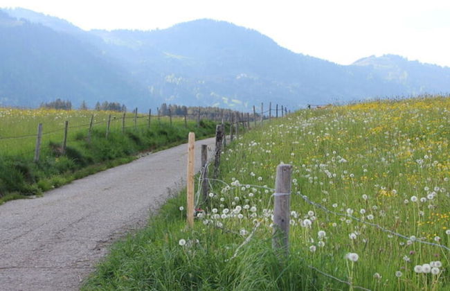 Nice Holiday Apartment in Fischen - Photo 30