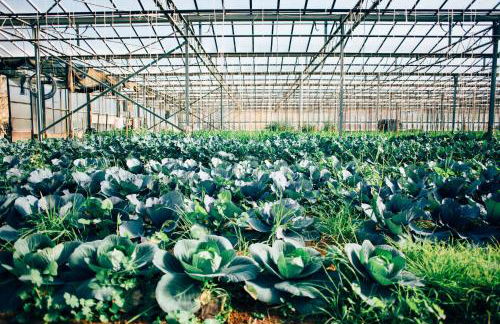 Su Leunaxiu - Foto 128