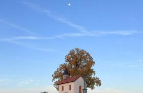 Tiny House in der Rhön - ruhig & naturnah - Foto 24