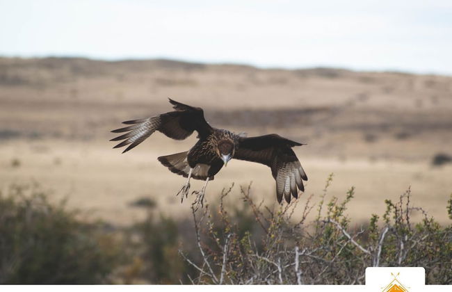 Paraiso Patagonico Bungalows and Apart - Photo 18