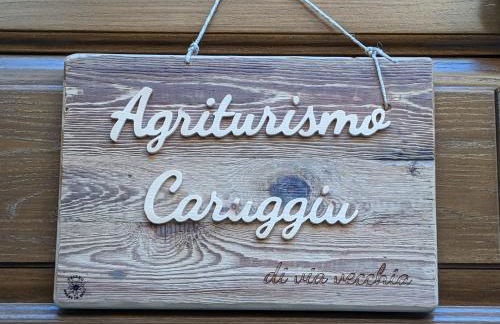 Agriturismo Caruggiu di via vecchia - Foto 1