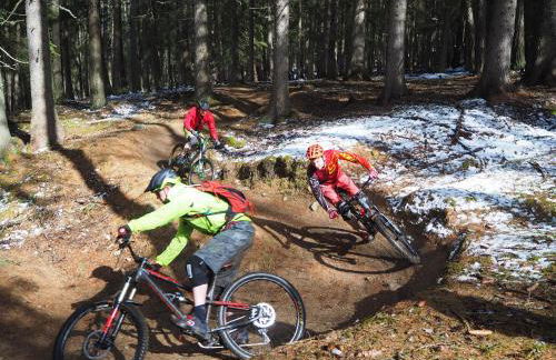 Haus im Erlengrund - Photo 31