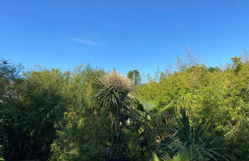 Jungle Cabin - Foto 41