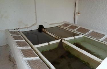 El Almendro De La Tia Teresa - Foto 25