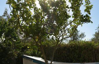 Perivoli SeaView Cottage, a Rural Bliss of Nature, By ThinkVilla - Foto 5