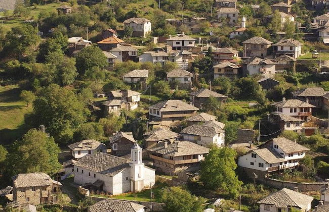 The Sharkov House - Photo 13