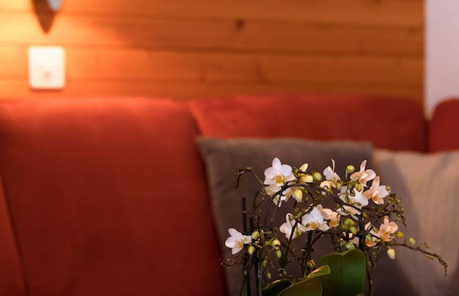 Apartments Saasunia - Foto 16