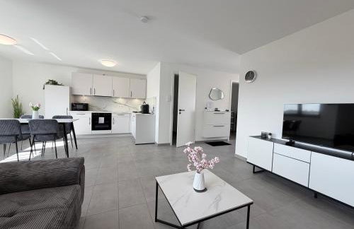 BILEANCA - Neubau-Ferienwohnungen Rheinhausen Europa-Park - Foto 1