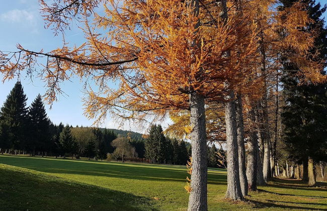 Apartment mit Balkon Nahe am Erlebnisberg Kappe - Foto 35