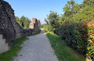 Au pied des vignes - Foto 34