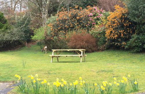 Innish - Uk38783 - Photo 6