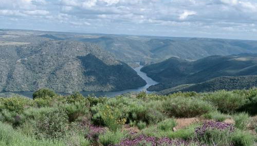 Casa do Rossio - Foto 5