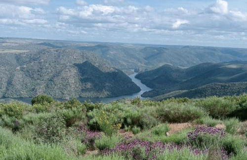 Casa do Rossio - Foto 5