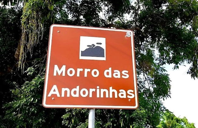 Andorinhas - Foto 52