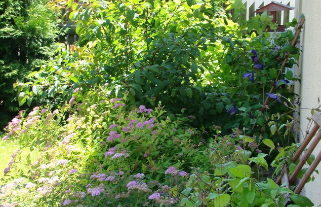 Apartamenty Komfort - Foto 34