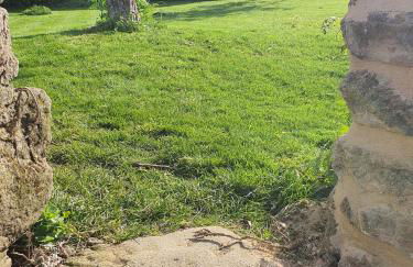 Finca As Roeles Caión - Foto 68