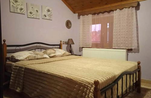 Guest house Elatochori - Foto 13