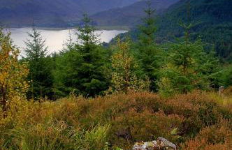 The Bridge Suite - Photo 28