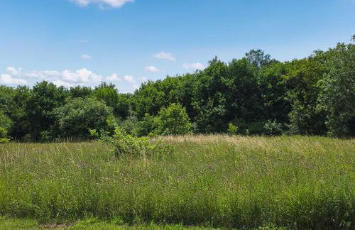 Belt Annexe - Foto 18