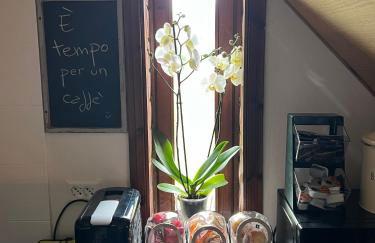 Mandi Mandi in pista - Foto 8