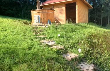 BIESZCZADZKA Antosiówka - Foto 4