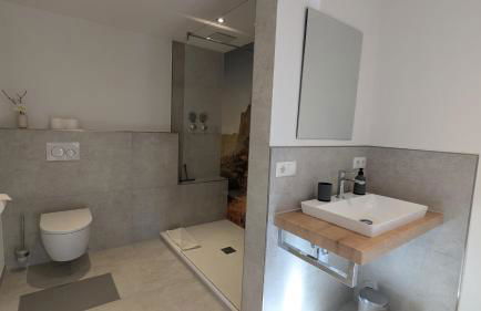 Ferienwohnung Alpenlift in Bolsterlang Sommerbergbahn kostenlos - Photo 10