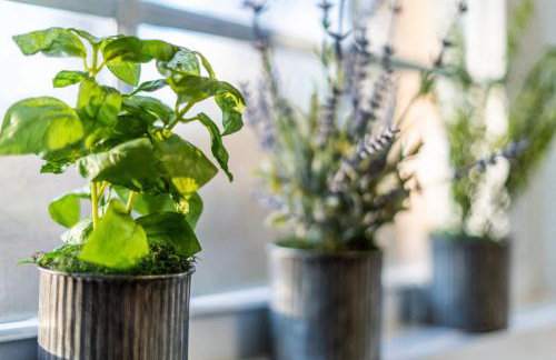 PlayDeck Cabin New River Gorge and Summersville Lake - Foto 55