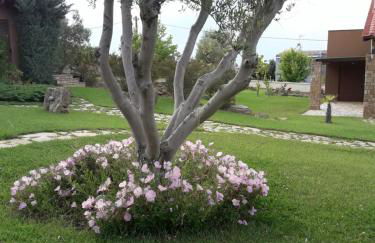 Beautiful Sani Villa - Foto 45