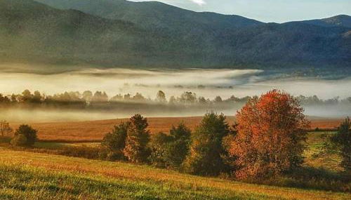 Peaceful Smoky Treehouse| Hot Tub • Hammock • Deck - Foto 4, Other